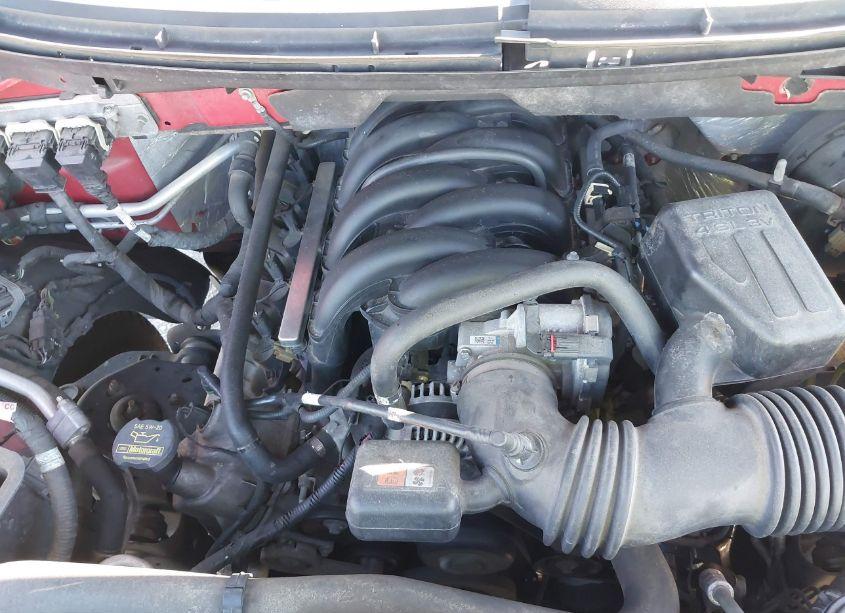 Photo 10 of 2010 Ford F-150 FX2 SPORT/XL/XLT (VIN 1FTEW1C85AFB69229)