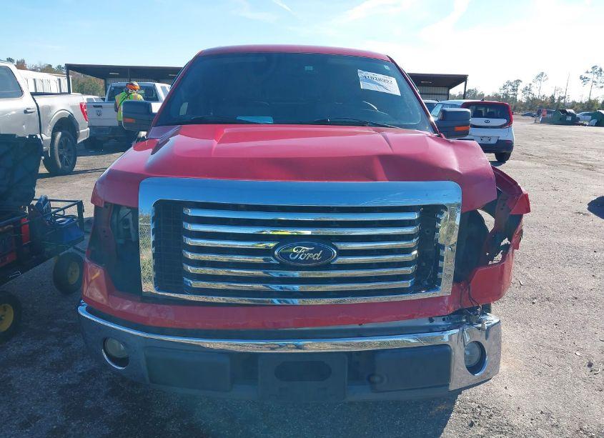 Photo 12 of 2010 Ford F-150 FX2 SPORT/XL/XLT (VIN 1FTEW1C85AFB69229)