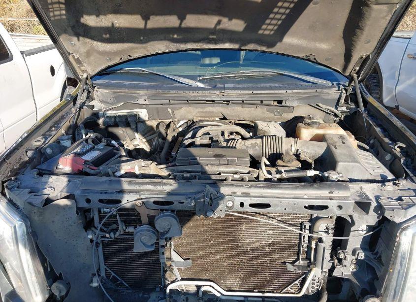 Photo 10 of 2010 Ford F-150 FX2 SPORT/XL/XLT (VIN 1FTEW1C85AFB90324)