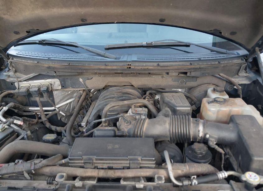 Photo 10 of 2010 Ford F-150 XLT (VIN 1FTEW1C85AFD61637)