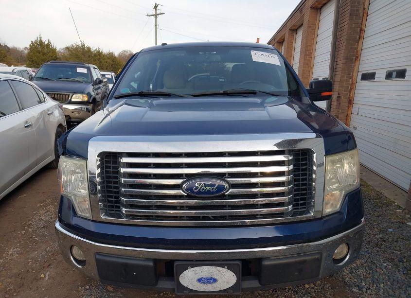 Photo 12 of 2010 Ford F-150 XLT (VIN 1FTEW1C85AFD61637)