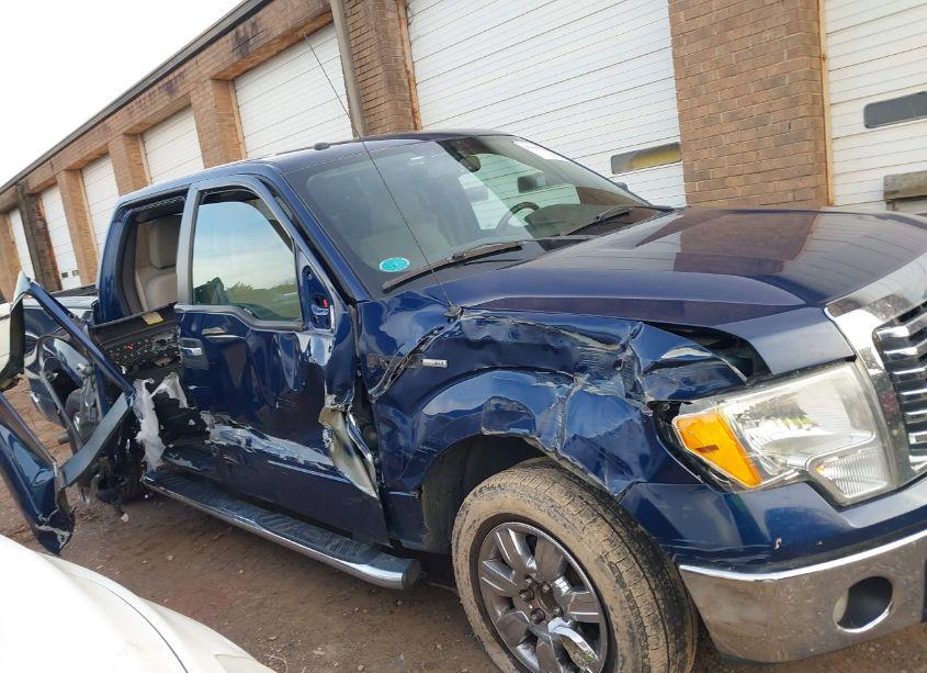 Photo 13 of 2010 Ford F-150 XLT (VIN 1FTEW1C85AFD61637)