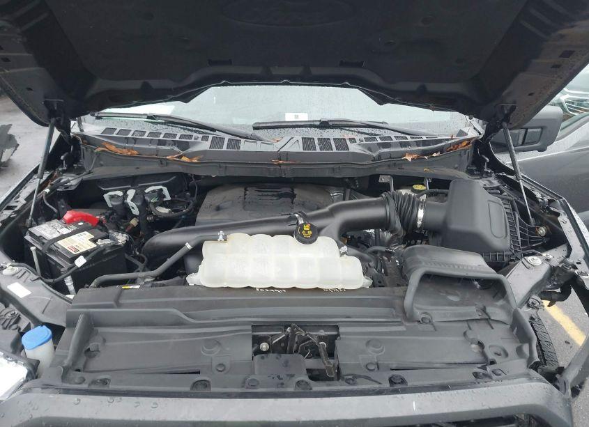 Photo 10 of 2021 Ford F-150 XLT (VIN 1FTEW1C85MFB75780)