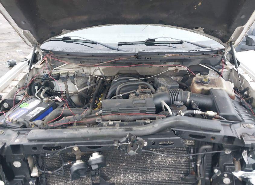 Photo 10 of 2010 Ford F-150 FX2 SPORT/XL/XLT (VIN 1FTEW1C86AFA16214)