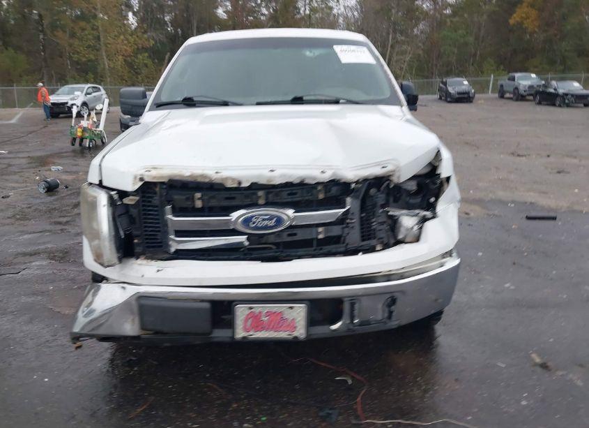 Photo 12 of 2010 Ford F-150 FX2 SPORT/XL/XLT (VIN 1FTEW1C86AFA16214)