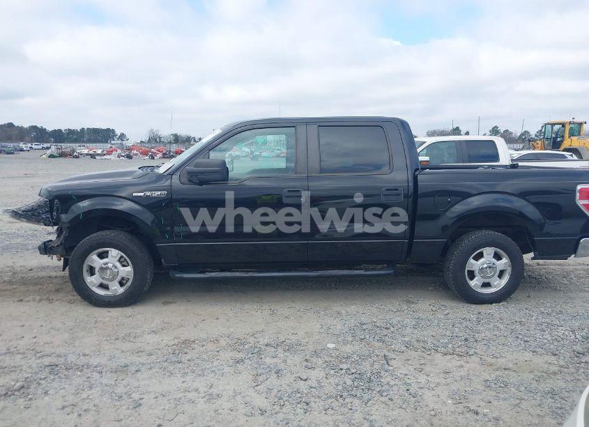 Photo 14 of 2010 Ford F-150 FX2 SPORT/XL/XLT (VIN 1FTEW1C86AFC24870)