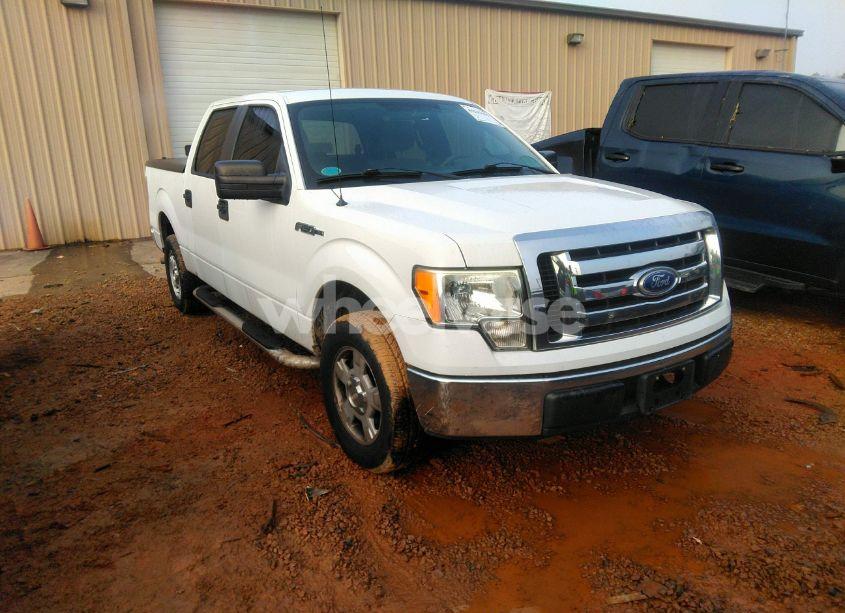 2010 Ford F-150 FX2 SPORT/XL/XLT (VIN 1FTEW1C86AFC97186) main photo