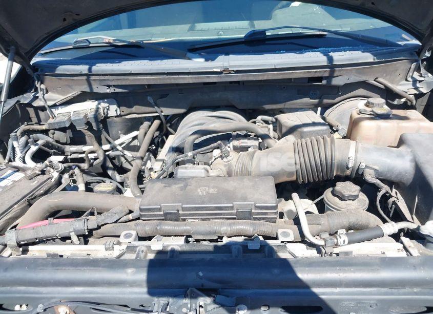 Photo 10 of 2010 Ford F-150 FX2 SPORT/XL/XLT (VIN 1FTEW1C86AFD39968)