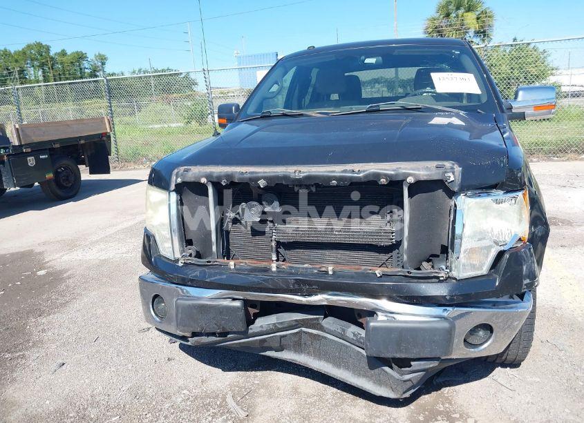 Photo 12 of 2010 Ford F-150 FX2 SPORT/XL/XLT (VIN 1FTEW1C86AFD39968)