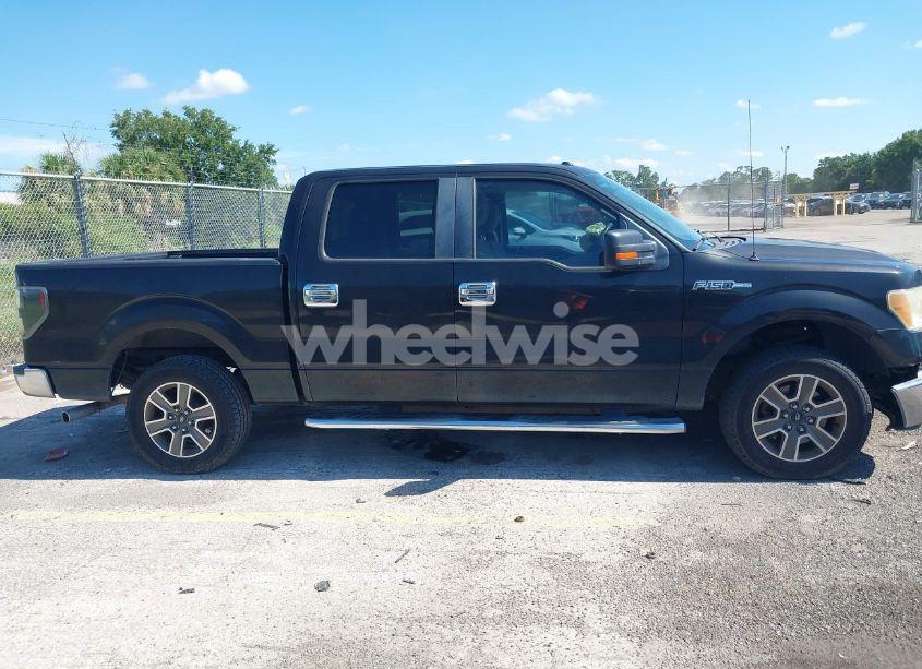 Photo 13 of 2010 Ford F-150 FX2 SPORT/XL/XLT (VIN 1FTEW1C86AFD39968)
