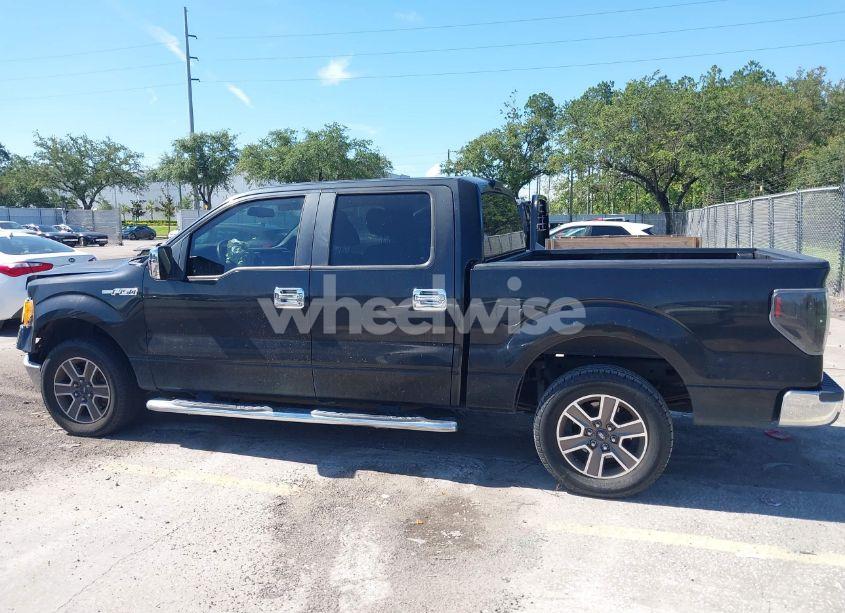 Photo 14 of 2010 Ford F-150 FX2 SPORT/XL/XLT (VIN 1FTEW1C86AFD39968)