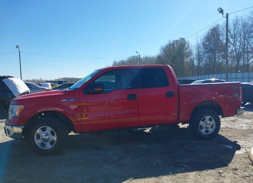 Photo 14 of 2010 Ford F-150 FX2 SPORT/XL/XLT (VIN 1FTEW1C86AFD48735)