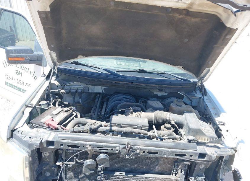 Photo 10 of 2010 Ford F-150 FX2 SPORT/XL/XLT (VIN 1FTEW1C86AKA18763)