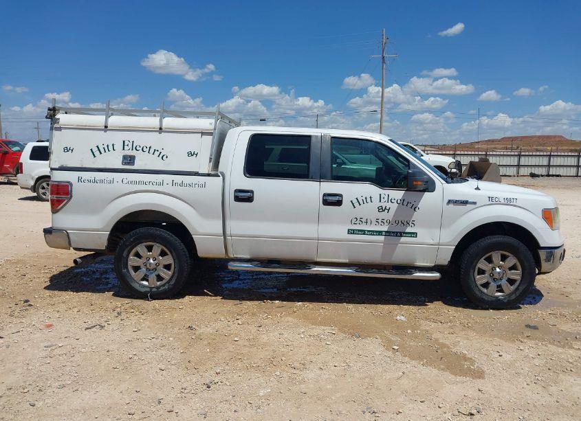 Photo 13 of 2010 Ford F-150 FX2 SPORT/XL/XLT (VIN 1FTEW1C86AKA18763)