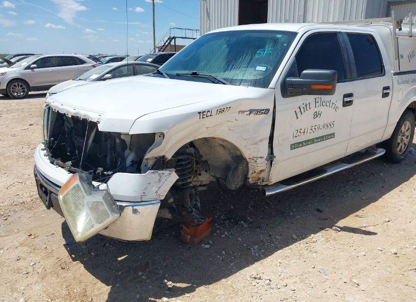 Photo 6 of 2010 Ford F-150 FX2 SPORT/XL/XLT (VIN 1FTEW1C86AKA18763)