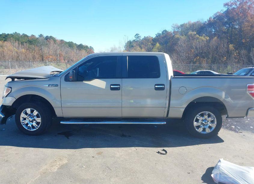 Photo 15 of 2010 Ford F-150 FX2 SPORT/XL/XLT (VIN 1FTEW1C86AKE47224)