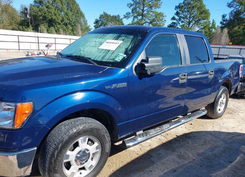 Photo 6 of 2010 Ford F-150 FX2 SPORT/XL/XLT (VIN 1FTEW1C87AFA14925)