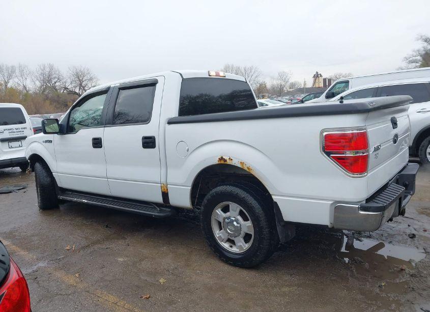 Photo 14 of 2010 Ford F-150 FX2 SPORT/XL/XLT (VIN 1FTEW1C87AFB03779)