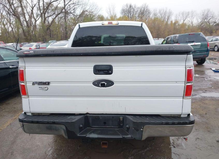 Photo 16 of 2010 Ford F-150 FX2 SPORT/XL/XLT (VIN 1FTEW1C87AFB03779)