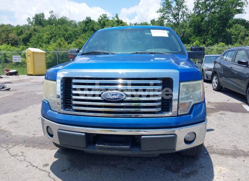 Photo 12 of 2010 Ford F-150 FX2 SPORT/XL/XLT (VIN 1FTEW1C87AFC15966)