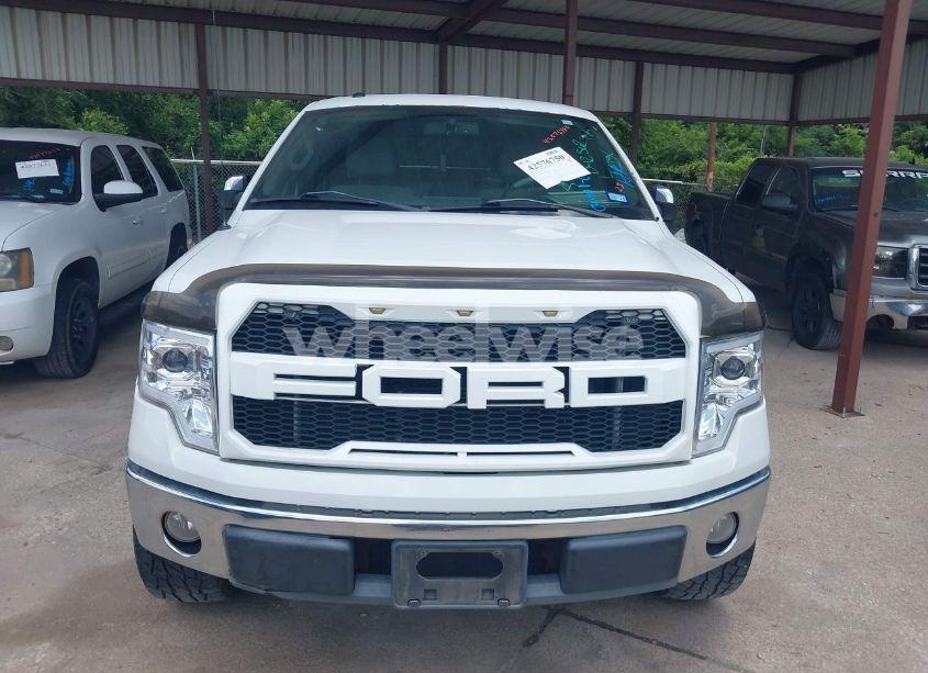 Photo 12 of 2010 Ford F-150 FX2 SPORT/XL/XLT (VIN 1FTEW1C87AFD42362)