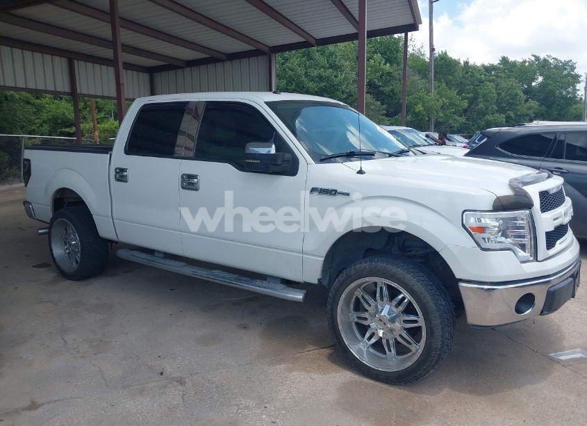 Photo 13 of 2010 Ford F-150 FX2 SPORT/XL/XLT (VIN 1FTEW1C87AFD42362)