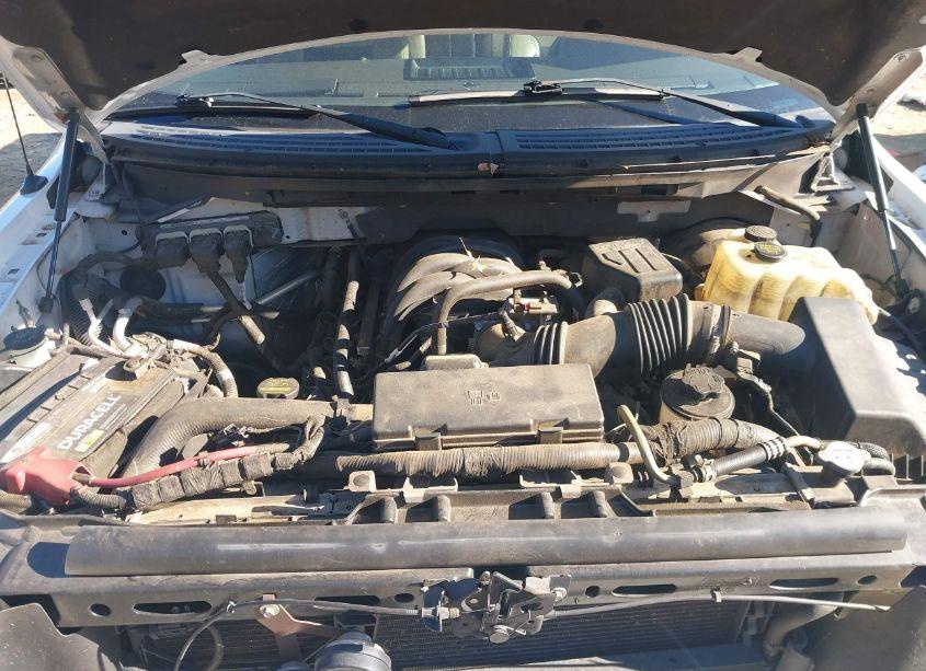 Photo 10 of 2010 Ford F-150 FX2 SPORT/XL/XLT (VIN 1FTEW1C88AFB85621)