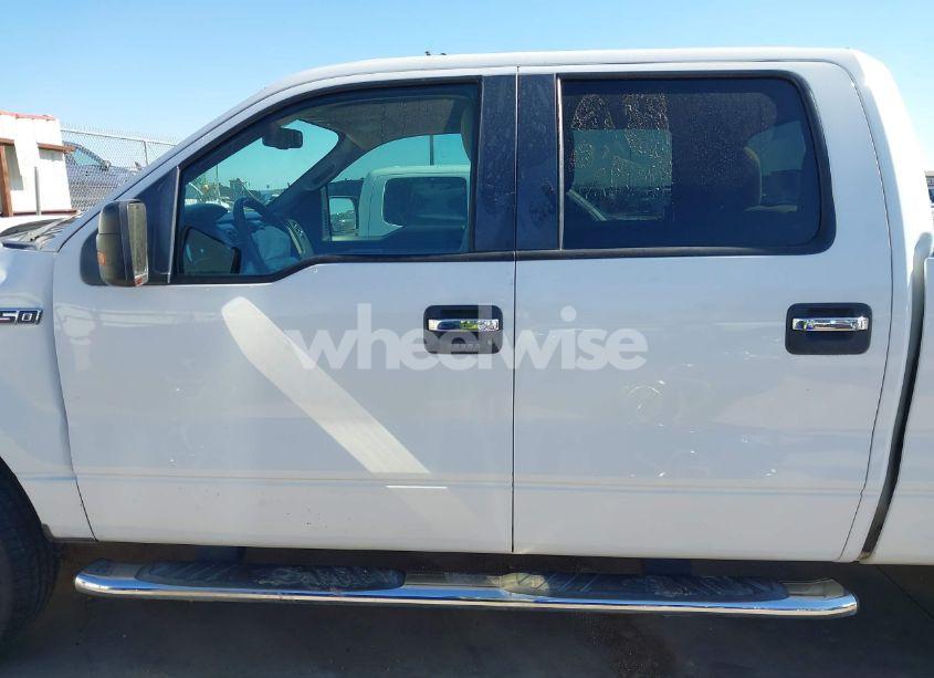 Photo 15 of 2010 Ford F-150 FX2 SPORT/XL/XLT (VIN 1FTEW1C88AFC17760)