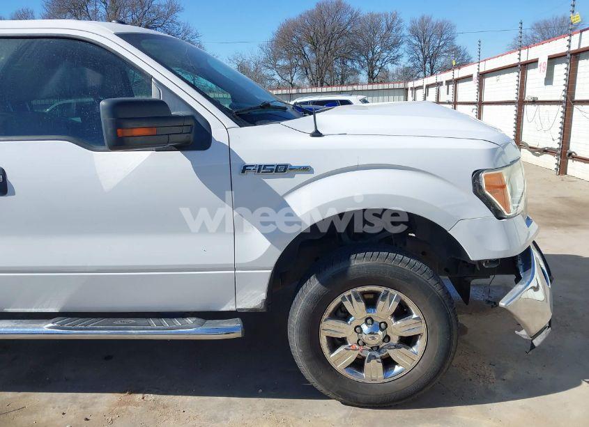 Photo 19 of 2010 Ford F-150 FX2 SPORT/XL/XLT (VIN 1FTEW1C88AFC17760)