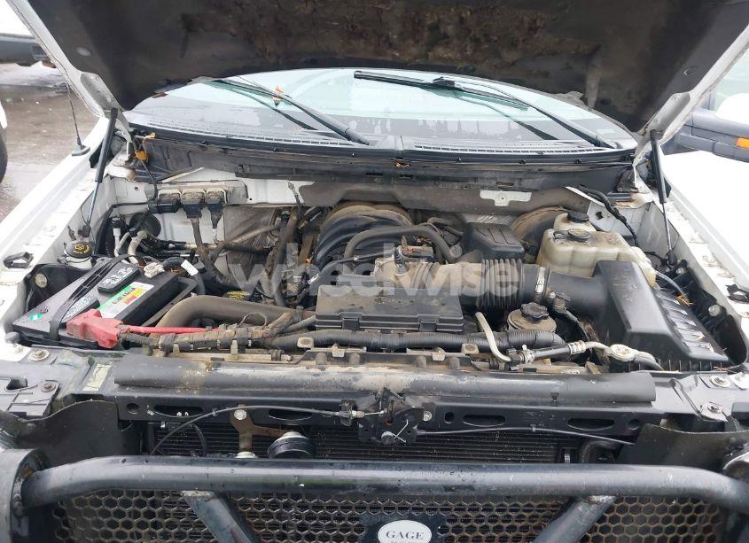 Photo 10 of 2010 Ford F-150 FX2 SPORT/XL/XLT (VIN 1FTEW1C88AKC55447)