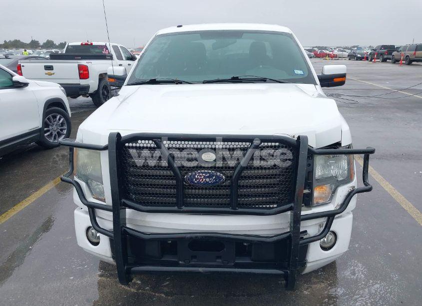 Photo 12 of 2010 Ford F-150 FX2 SPORT/XL/XLT (VIN 1FTEW1C88AKC55447)