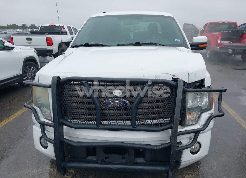 Photo 19 of 2010 Ford F-150 FX2 SPORT/XL/XLT (VIN 1FTEW1C88AKC55447)