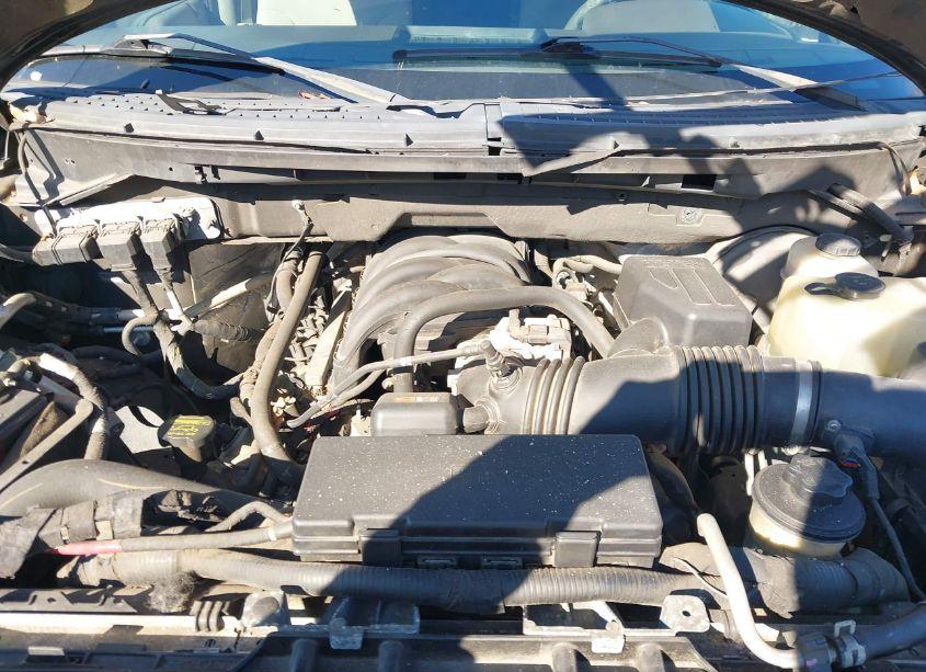 Photo 10 of 2010 Ford F-150 XLT (VIN 1FTEW1C89AFB02228)