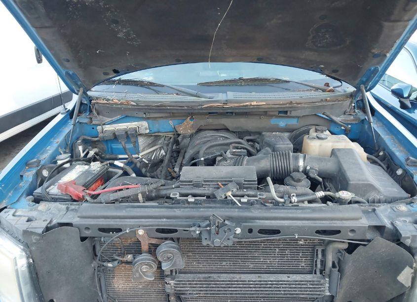 Photo 10 of 2010 Ford F-150 FX2 SPORT/XL/XLT (VIN 1FTEW1C89AFC15094)