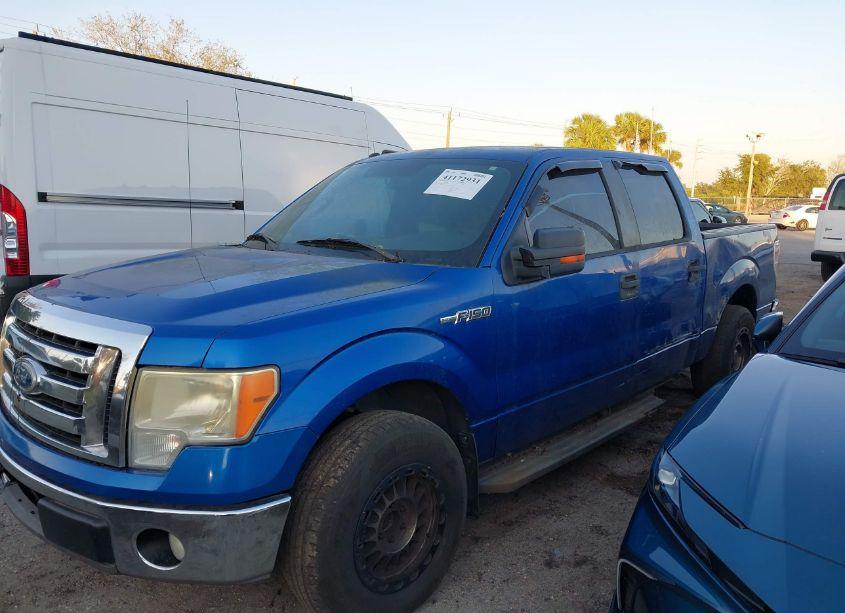 Photo 14 of 2010 Ford F-150 FX2 SPORT/XL/XLT (VIN 1FTEW1C89AFC15094)