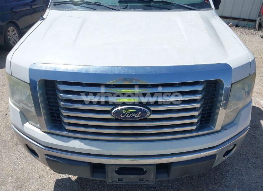 Photo 6 of 2010 Ford F-150 FX2 SPORT/XL/XLT (VIN 1FTEW1C8XAFB21967)