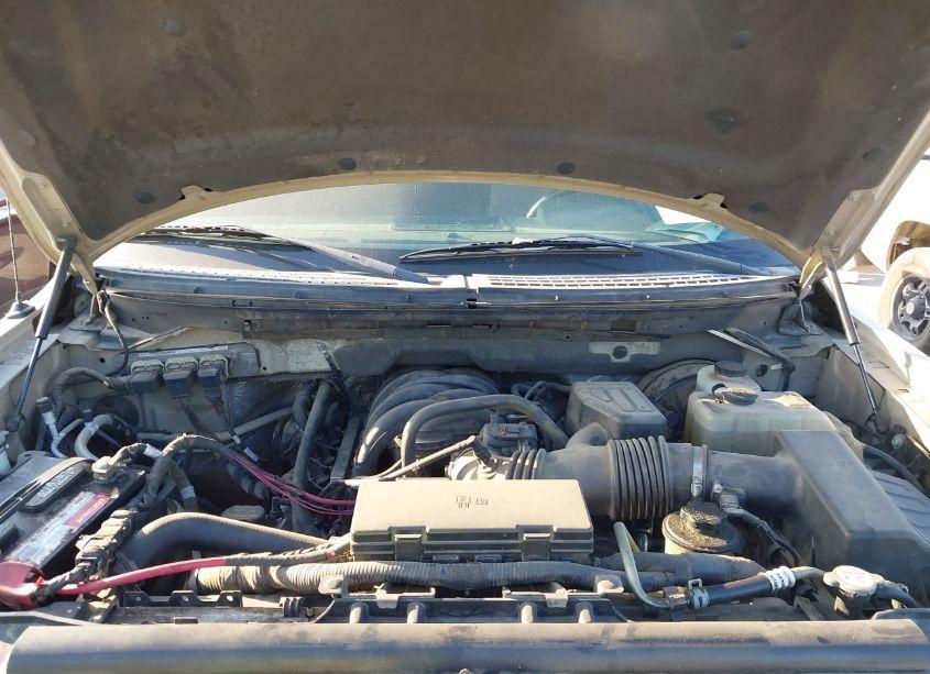 Photo 10 of 2010 Ford F-150 XLT (VIN 1FTEW1C8XAFD86405)