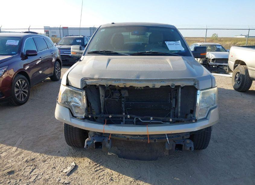 Photo 12 of 2010 Ford F-150 XLT (VIN 1FTEW1C8XAFD86405)