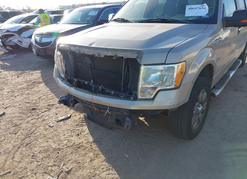 Photo 6 of 2010 Ford F-150 XLT (VIN 1FTEW1C8XAFD86405)
