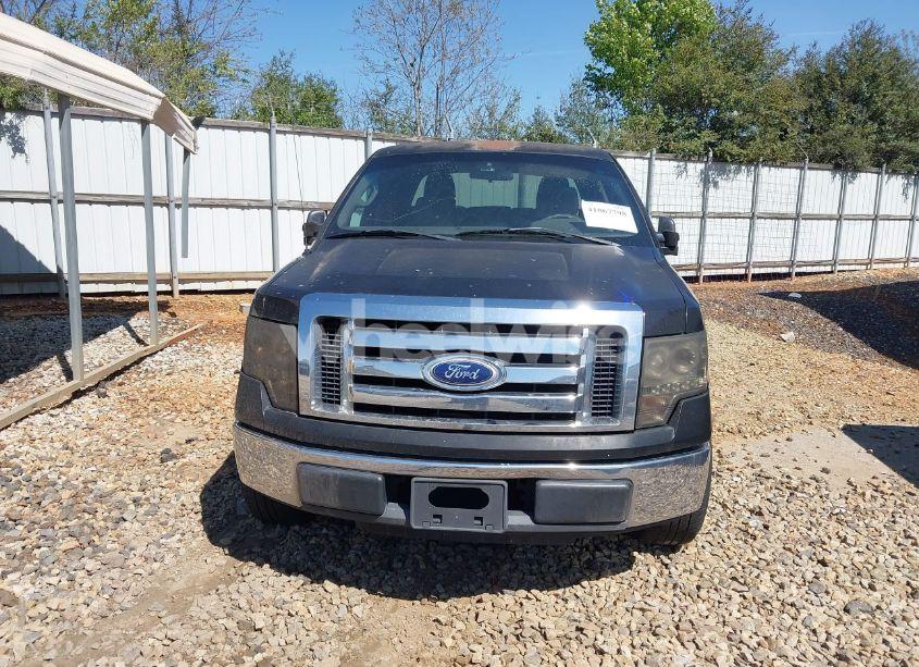 Photo 12 of 2010 Ford F-150 FX2 SPORT/XL/XLT (VIN 1FTEW1C8XAKA16739)