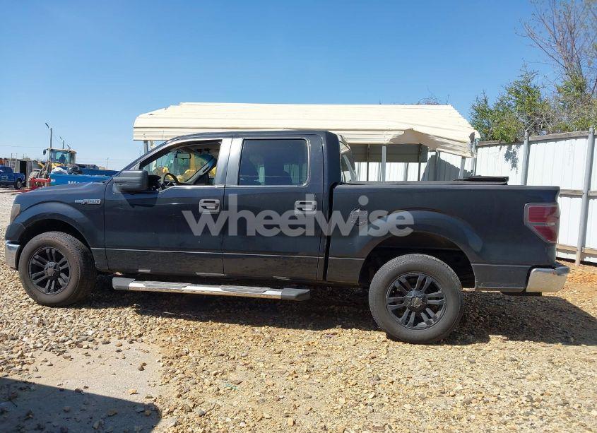 Photo 14 of 2010 Ford F-150 FX2 SPORT/XL/XLT (VIN 1FTEW1C8XAKA16739)