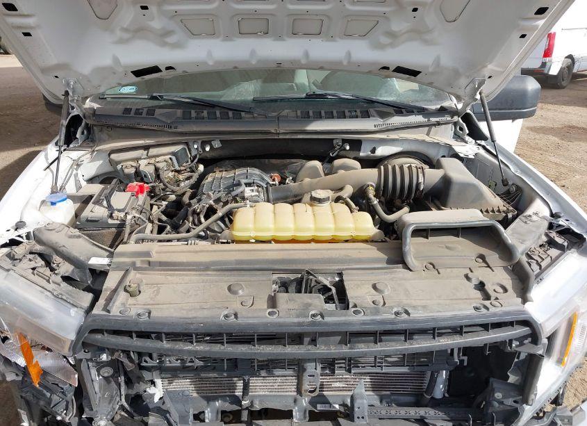 Photo 10 of 2019 Ford F-150 XL (VIN 1FTEW1CB1KKF03650)