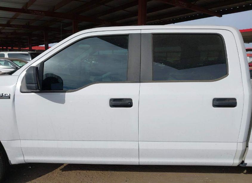 Photo 15 of 2019 Ford F-150 XL (VIN 1FTEW1CB1KKF03650)