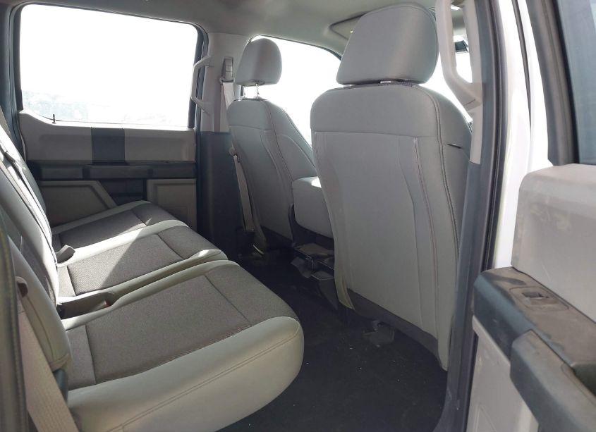 Photo 8 of 2019 Ford F-150 XL (VIN 1FTEW1CB1KKF03650)