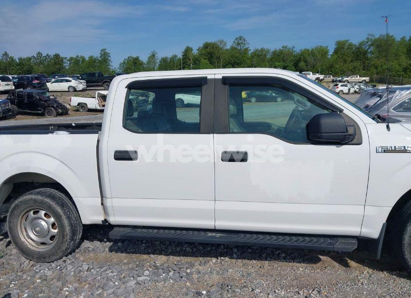 Photo 13 of 2019 Ford F-150 XL (VIN 1FTEW1CB3KKD58854)