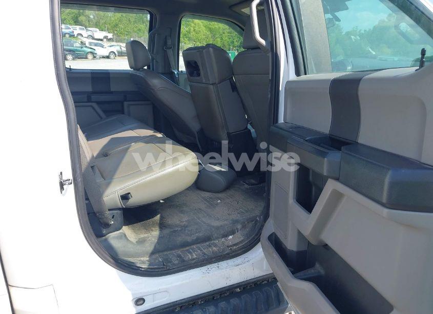 Photo 8 of 2019 Ford F-150 XL (VIN 1FTEW1CB3KKD58854)