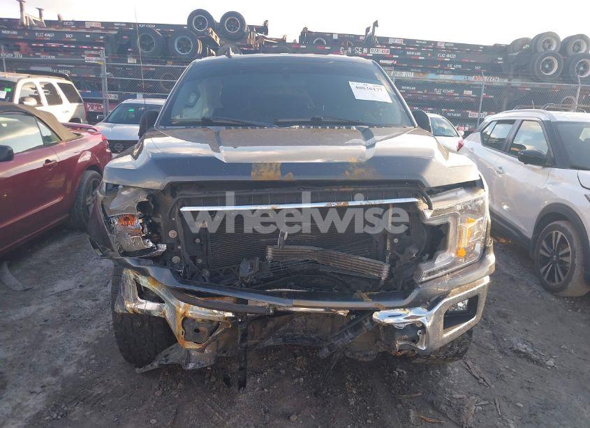 Photo 12 of 2019 Ford F-150 XLT (VIN 1FTEW1CB7KKC40483)