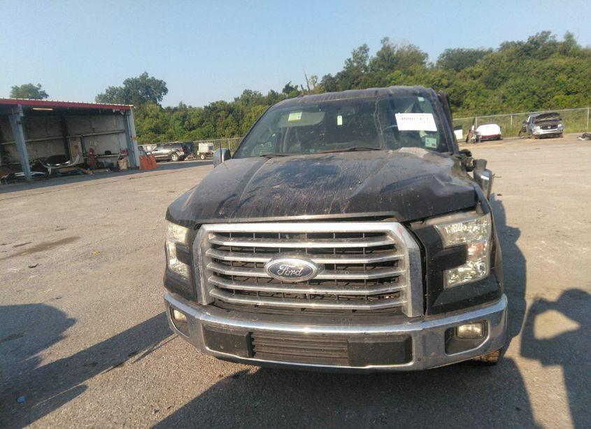 Photo 12 of 2015 Ford F-150 XLT (VIN 1FTEW1CF1FKE01497)