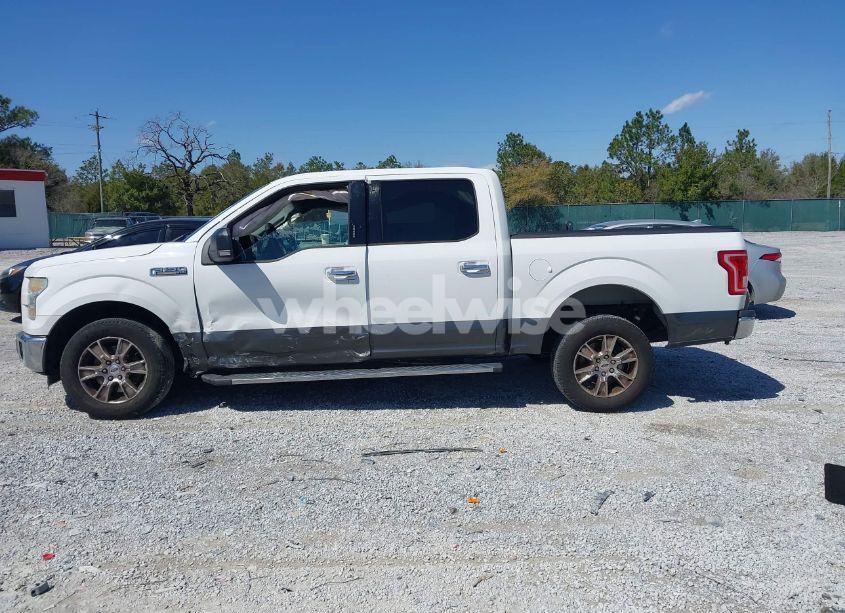 Photo 14 of 2015 Ford F-150 XLT (VIN 1FTEW1CF6FFB30672)