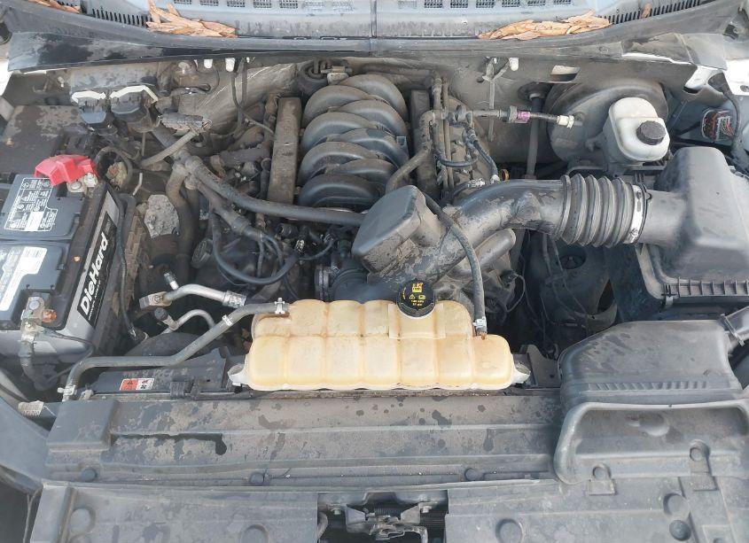 Photo 10 of 2016 Ford F-150 XLT (VIN 1FTEW1CF6GFB55041)